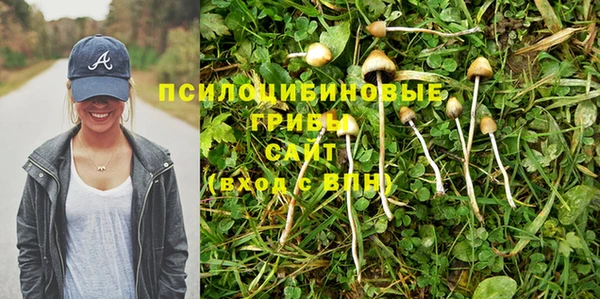 индика Гусь-Хрустальный