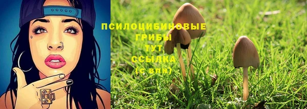 прущие крисы Дмитриев
