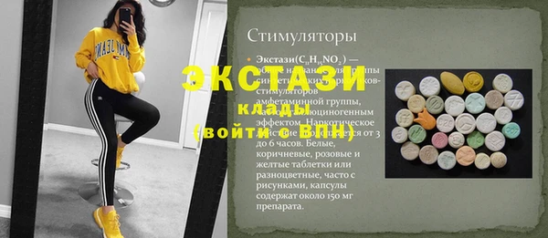 индика Гусь-Хрустальный
